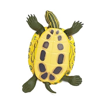 Amazon | Safari (サファリ) ミシシッピーアカミミガメ